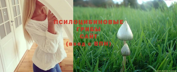 гидра Балахна