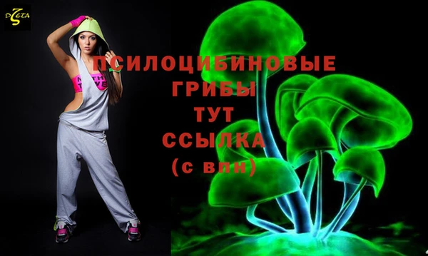 винт Баксан