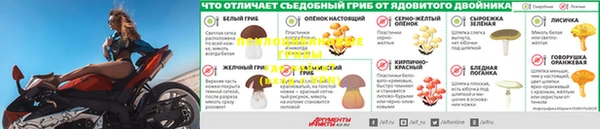 гидра Балахна
