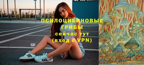винт Баксан