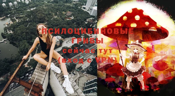 гидра Балахна