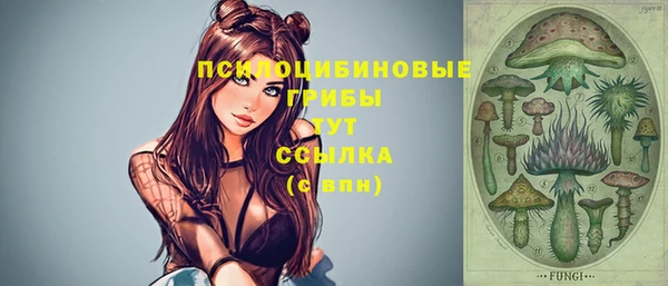 винт Баксан